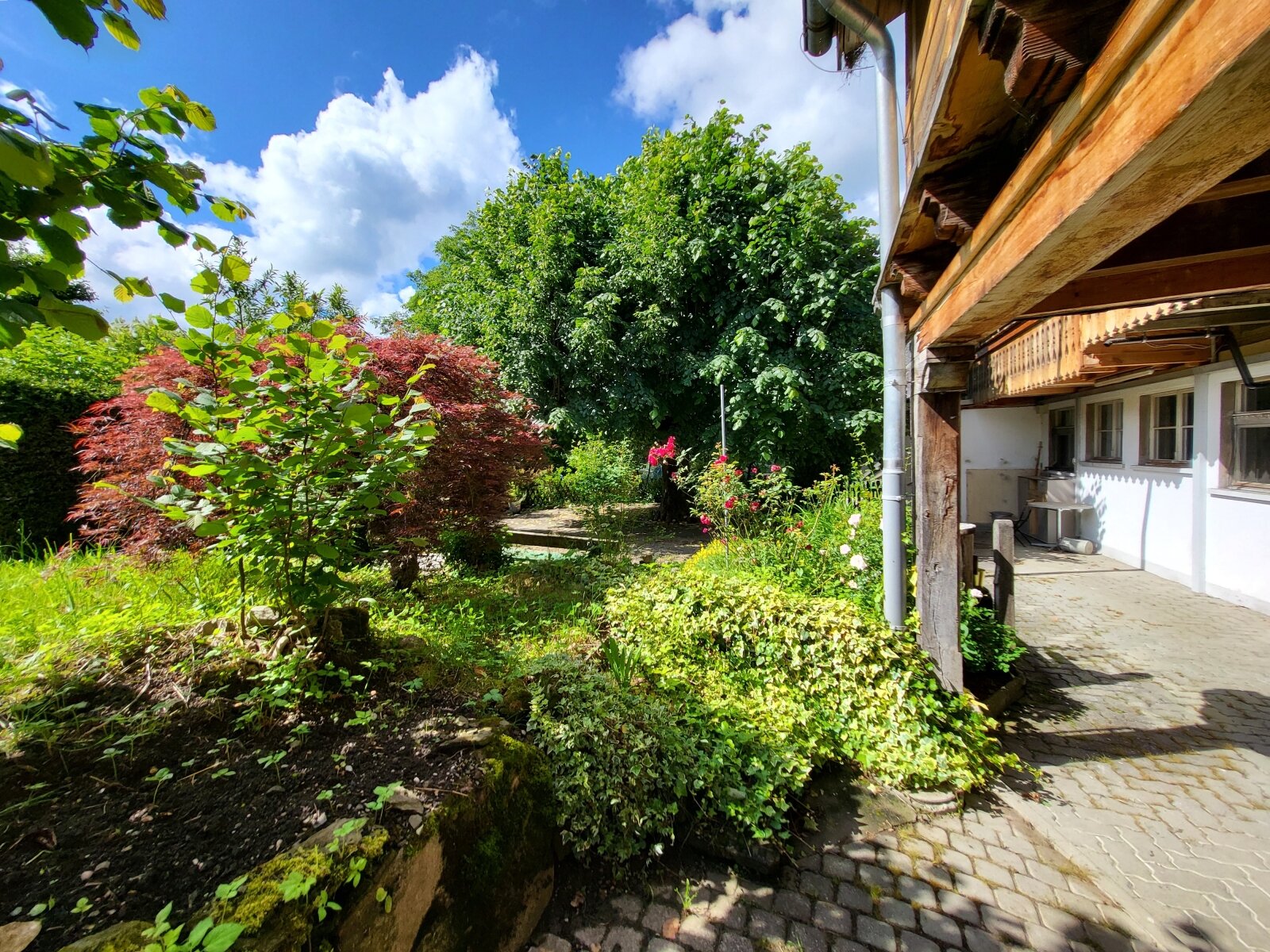 Bären Garten